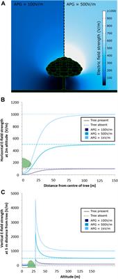 Tree Canopies Influence Ground Level Atmospheric Electrical and Biogeochemical Variability